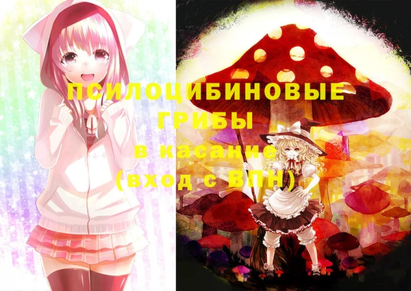 спиды Липки