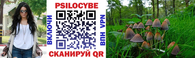 Галлюциногенные грибы Psilocybe  Шумерля 